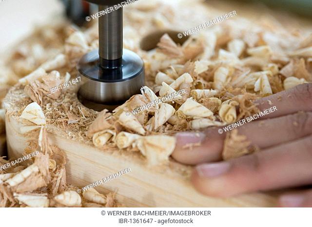 Drilling wood with wood shavings, carpentry training, HWK Munich - Centre of learning for apprentices, Rosenheim, Munich, Bavaria, Germany, Europe