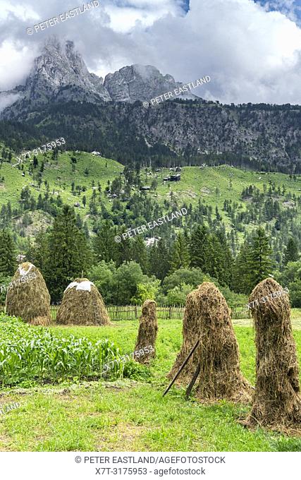 Traditional haystacks in The Valbone Valley National Park, in North eastern Albania,