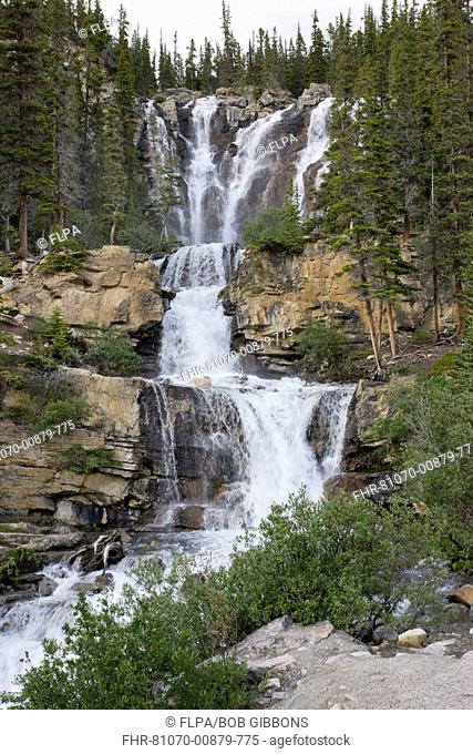Waterfall and river, Tangle Creek Falls, Jasper N P , Rocky Mountains, Alberta, Canada, july