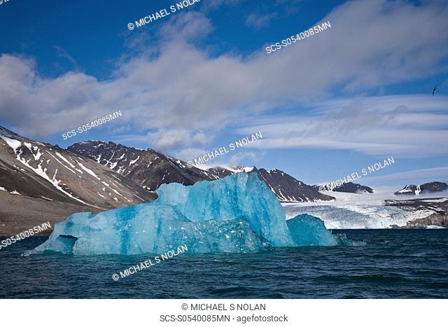 Calved icebergs from the glaciers at Blomstrandhalv¯ya in Kongsfjord on the western side of Spitsbergen in the Svalbard Archipelago, Norway
