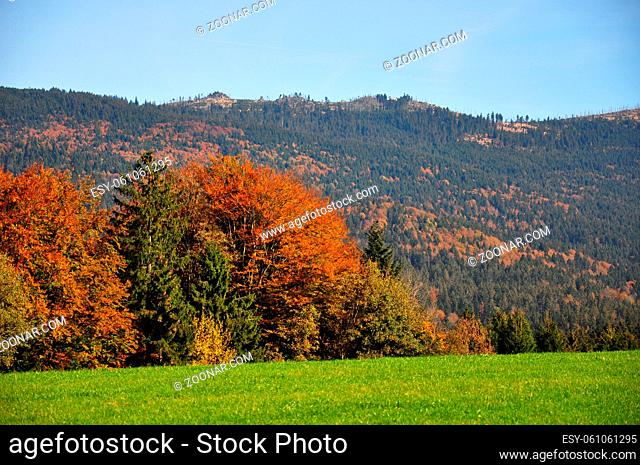 Dreisessel - Mountain Dreisessel, Bavaria