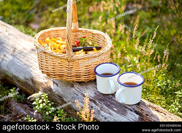 mushrooms in basket and cups of tea in forest