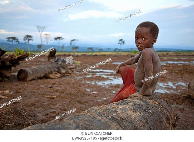 oil palm Elaeis guineensis, little boy sitting on the log of an oil palm on fallow land deforested for oil production, Burundi, Rumonge, Rumonge