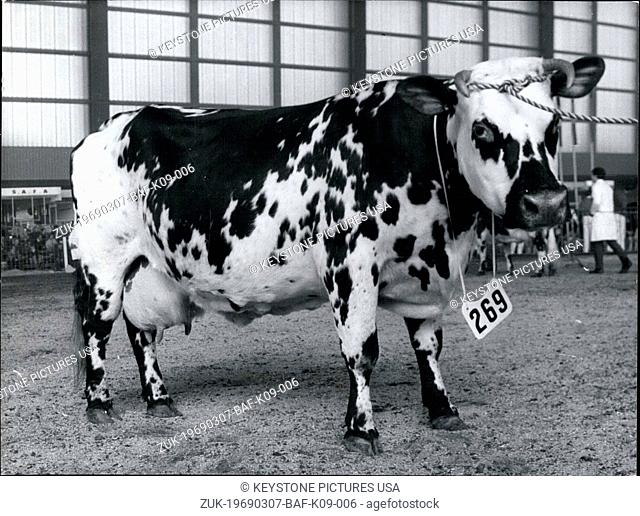 Mar. 07, 1969 - At the agriculture show that is taking place at the Porte de Versailles, the presentation of the best dairy cows