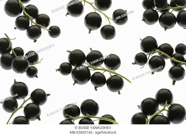 Black currants, Ribes nigrum,  Rispen  Gooseberry plant, black, fruits, berries, eel berry, Ahlbeere, fruit, berry fruit, vitamins, rich in vitamins, vitamin C