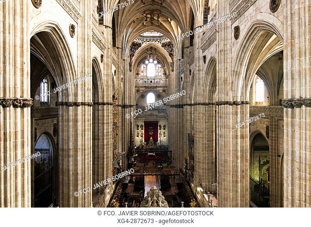 Interior de la Catedral Nueva. Salamanca. Castilla-León. España. Europa