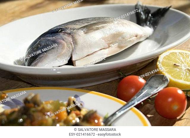 anchovies and squids of the mediterranean