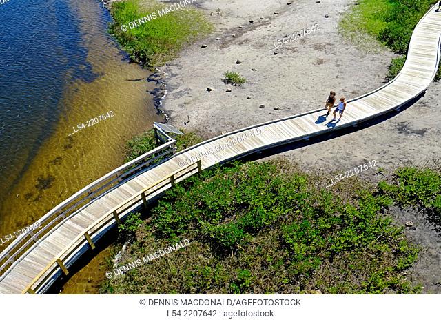 Walking Trail Boardwalk Robinson Preserve Nature Bradenton Florida FL US USA