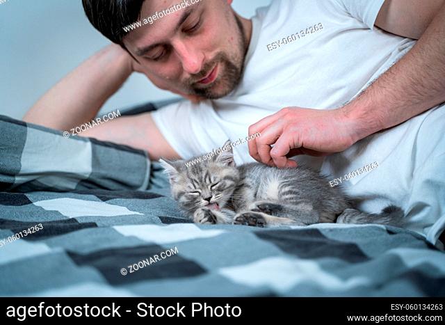 Best friends taking nap. Man lies on bed and plays with British little kitten. Relationship of owner and domestic feline animal pet