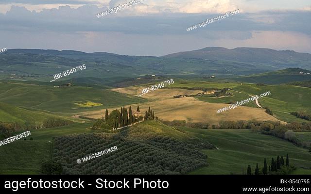 Country estate Podere Belvedere at sunrise, Val dOrcia, San Quirico dOrcia, Province of Siena, Tuscany, Italy, Europe