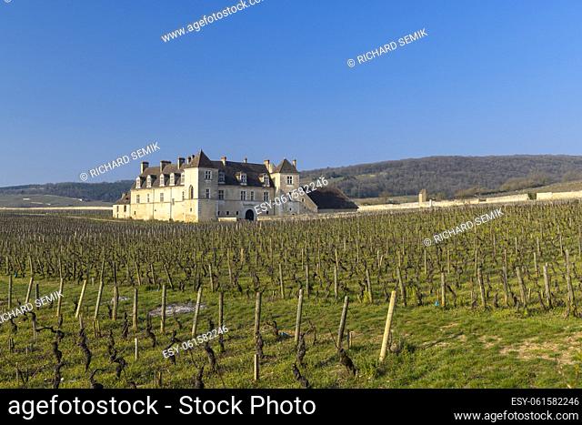 Clos de Vougeot castle, Cote de Nuits, Burgundy, France