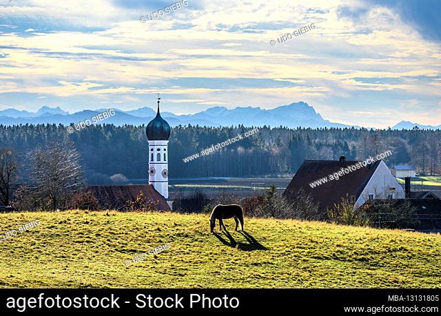 Germany, Bavaria, Upper Bavaria, Munich district, Aying, district Peiß, horse paddock with St. Nikolaus branch church against Wetterstein Mountains