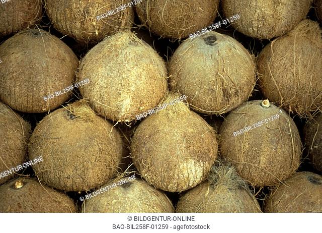 Coconuts at a market in Cambodia in southeast Asia