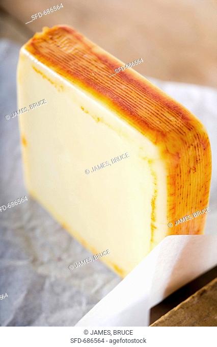 Muenster Cheese Standing on Paper