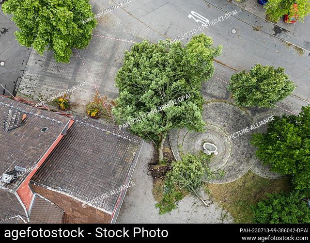 12 July 2023, Baden-Württemberg, Rottweil: A tree blew over in front of the town hall in the Rottweiler district of Göllsdorf on Wednesday night due to strong...