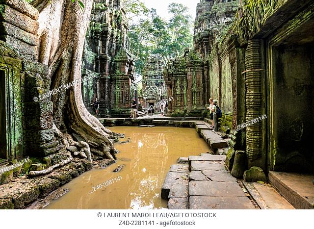 Tourists watching the giant tree roots (Tetrameles nudiflora) over a building at Ta Prohm temple, built in the Bayon style largely in the late 12th and early...