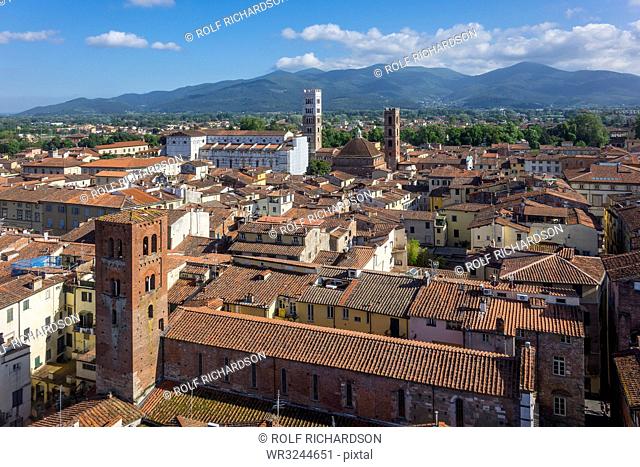 Aerial view of Lucca, Tuscany, Italy, Europe