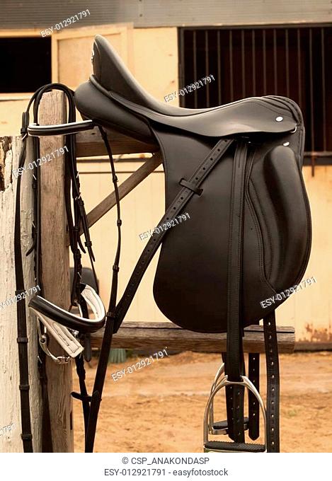 Bridle and horse saddle