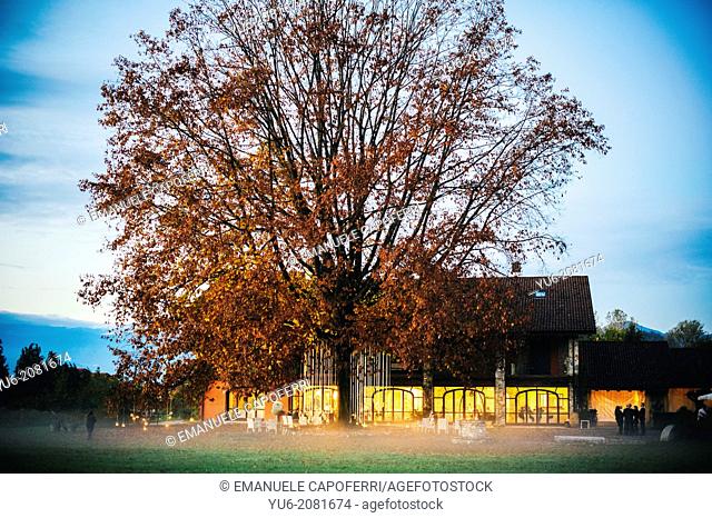 Villa on Lake Maggiore with a large oak tree in autumn, Ispra, Varese, Italy