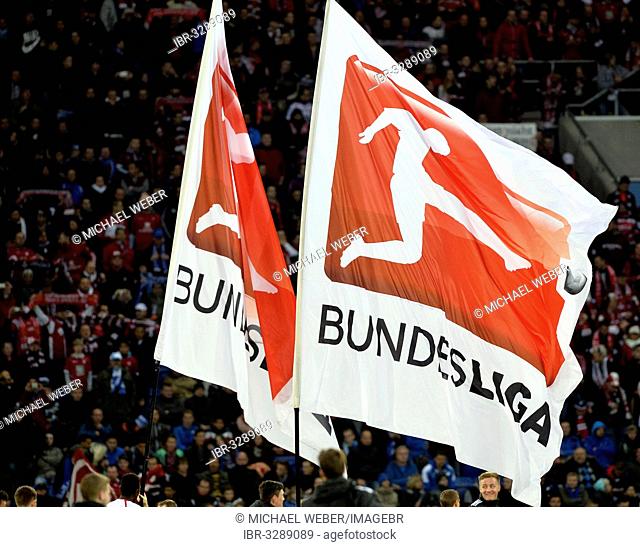 Bundesliga flags flying in the Wirsol Rhein-Neckar Arena