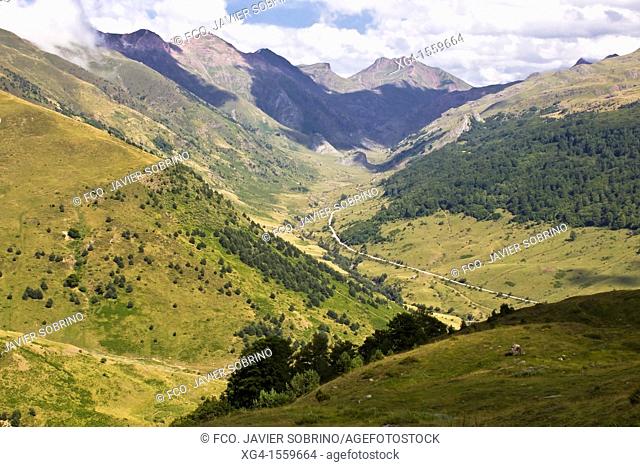 Guarrinza - Selva de Oza - Hecho Valley - Huesca - Aragon Pyrenees - Spain - Europe