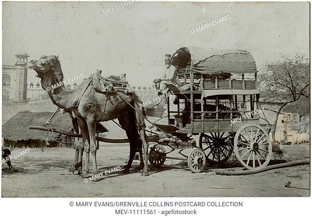 Agra, India - An utterly fabulous Double-decker two camel-drawn wagon, with driver perched on the upper level