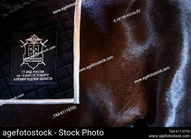 RUSSIA, ST PETERSBURG - AUGUST 15, 2023: Un caballo que lleva una almohadilla con el escudo de armas del servicio de patrulla del Ministerio del Interior ruso...