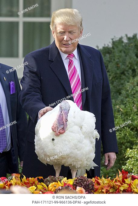 United States President Donald J. Trump pats ""Drumstick"" as he and First Lady Melania Trump host the National Thanksgiving Turkey Pardoning Ceremony in the...