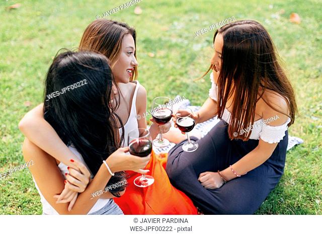 Friends in a park enjoying red wine