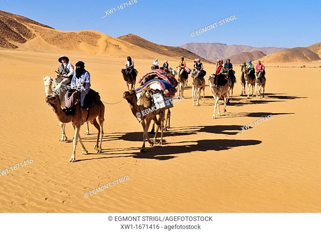 camel caravane with tourists travelling through low sanddunes of Erg Mehejibad, Immidir, Algeria, Sahara, North Africa