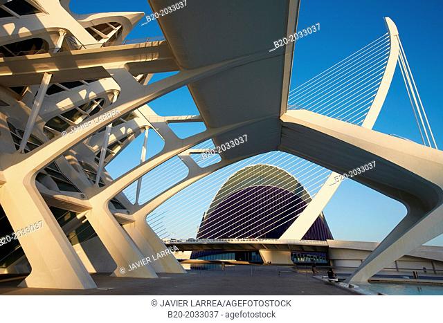 CAC. Architect Santiago Calatrava, Ciudad de las Artes y de las Ciencias. City Of Arts and Sciences. Valencia. Comunidad Valenciana. Spain
