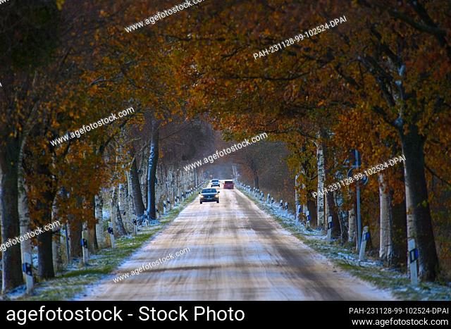 28 November 2023, Saxony-Anhalt, Klötze: Cars drive on a road covered in snow and ice under trees that are still covered in autumn leaves