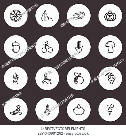 Set Of 16 Editable Cookware Outline Icons. Includes Symbols Such As Corn, Plum, Orange And More