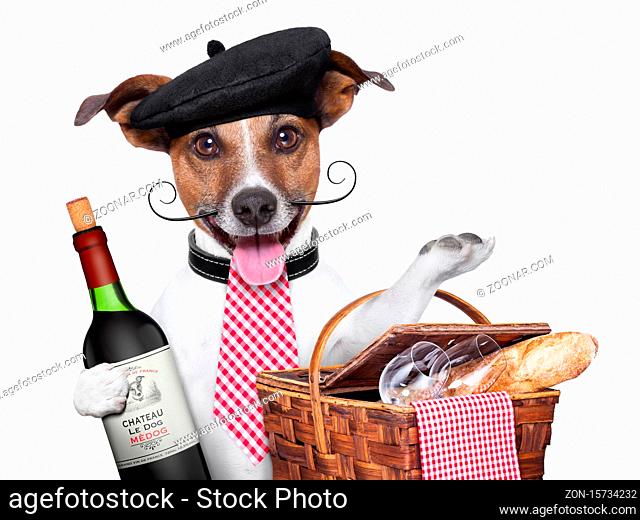 french dog with red wine and Picnic basket