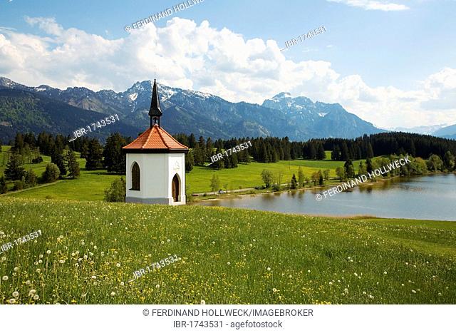 Chapel near Hergatsried, Buching, Hergatsried, Allgaeu region, Bavaria, Germany, Europe