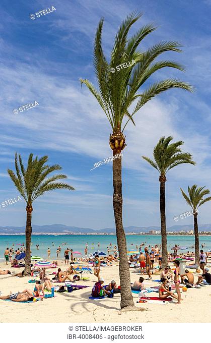 Playa de Palma, Bay of Palma, Majorca, Balearic Islands, Spain