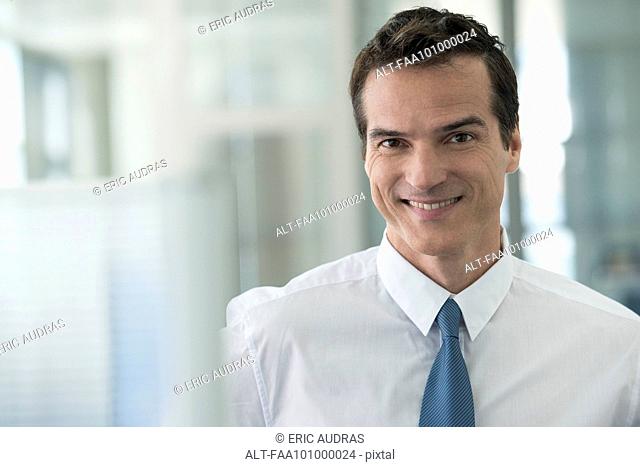 Businessman smiling cheerfully, portrait