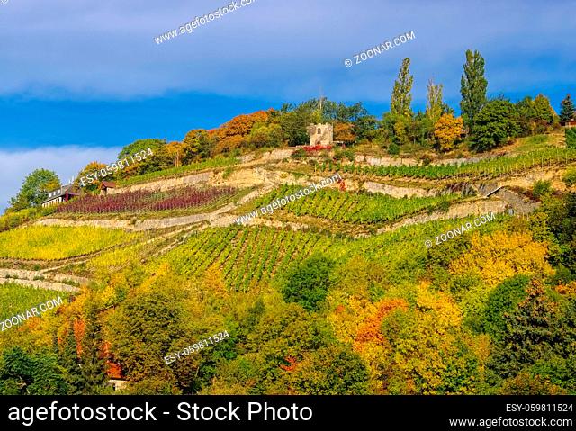 Saale Unstrut Weinberge im Herbst - Saale Unstrut vineyards in Germany in fall