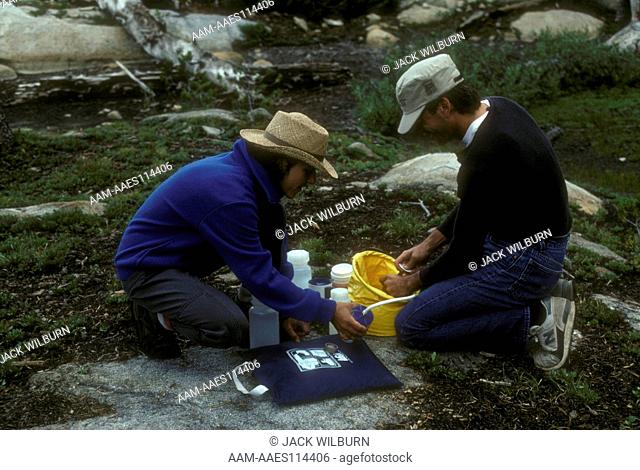 Backpackers filtering drinking water, Emigrant Wilderness, Toulumne, California