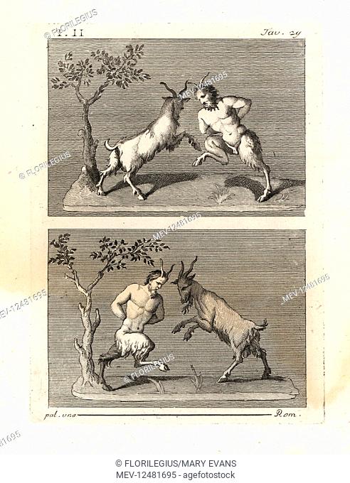 Two satyrs butting heads with goats. The rural god Pan is also depicted in this posture. Copperplate engraving by Tommaso Piroli from his Antiquities of...