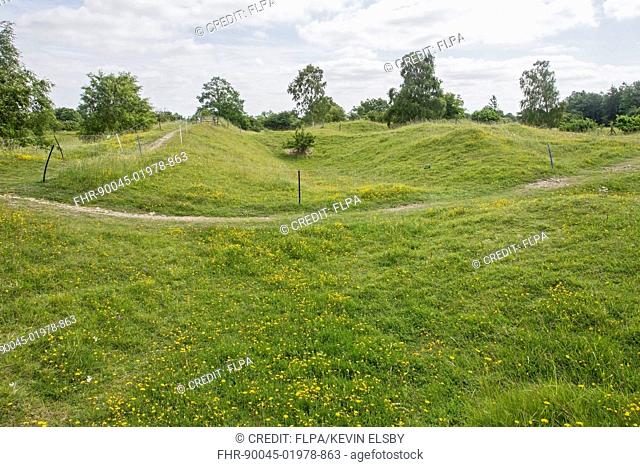View of limestone grassland habitat on site of former medieval quarry, Barnack Hills and Holes National Nature Reserve, Cambridgeshire, England, June