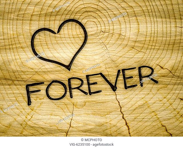 Illustration of a wooden heart love forever branding - 01/01/2018