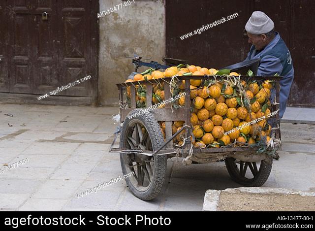 Orange saleman, Fes, Morocco | NONE |