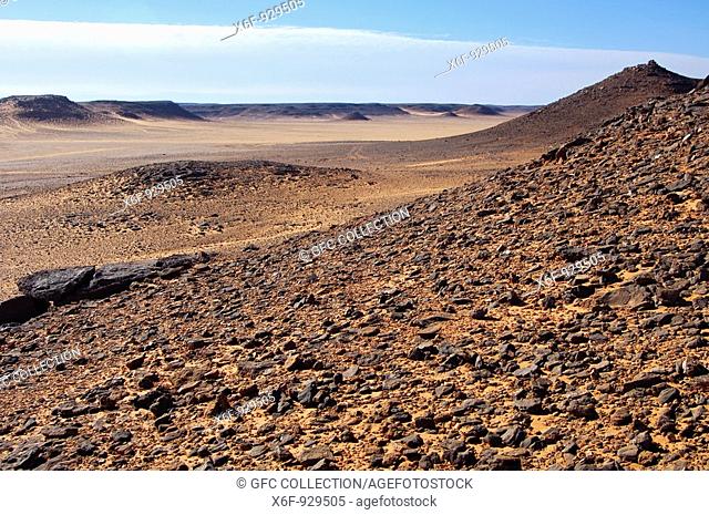 Hard and rocky plateau of a Hamada-style desert, Sahara, Libya