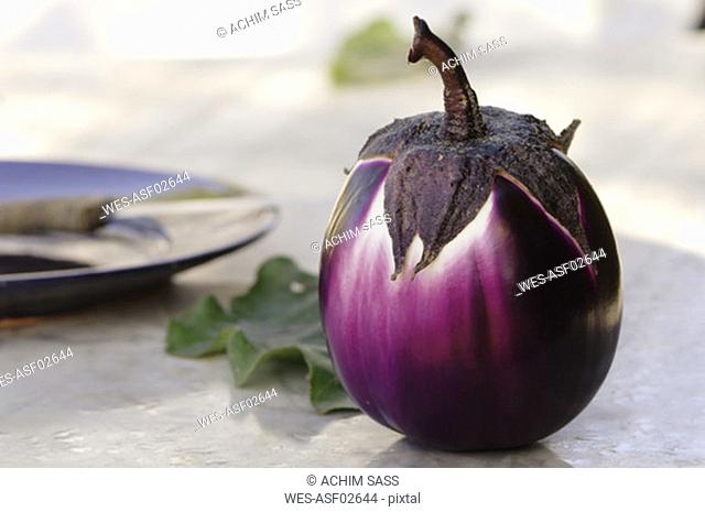 Single eggplant, close-up