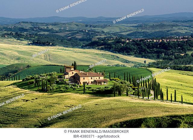 Typical green Tuscan landscape in Val d’Orcia with farm on hill, fields, cypresses and blue sky, Trequanda, Tuscany, Italy