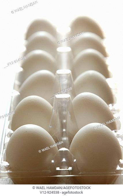 Eggs in tray, close up depth of field