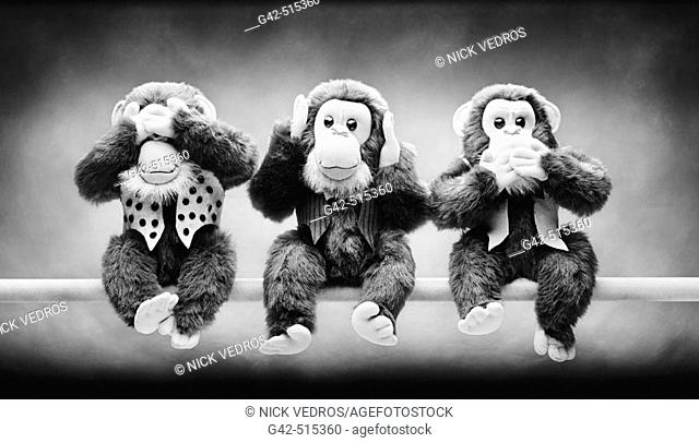 Three stuffed monkeys (See no evil, Speak no evil, Hear no evil)