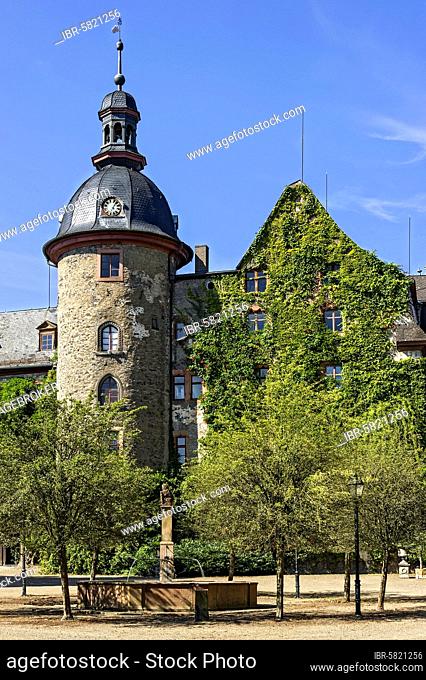 Medieval castle, Laubach Castle, overgrown with Common ivy (Hedera helix), residence of the counts of Solms Laubach, Laubach, Hesse, Germany, Europe