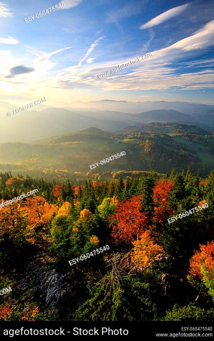 Autumn Forest landscape in the mountains of Austria - Hohe Wand during the Sunset
